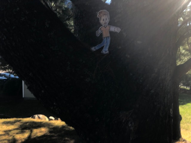 Flat Stanley hiding in a tree